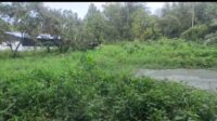 IMG-20250913-WA0010